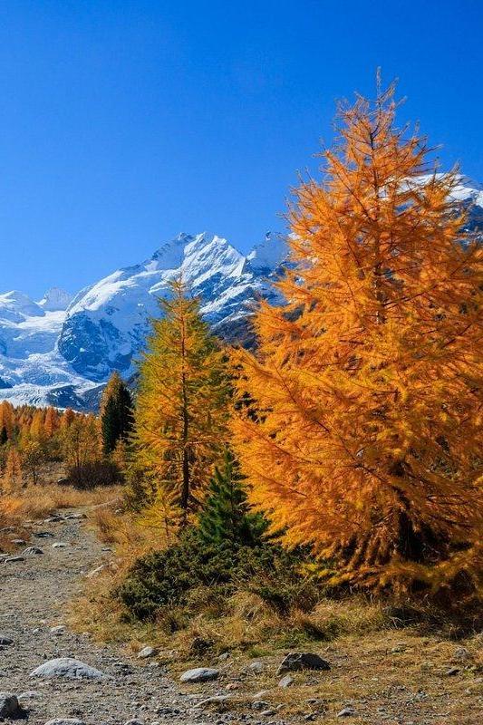 Ghiacciaio del Morteratsch
